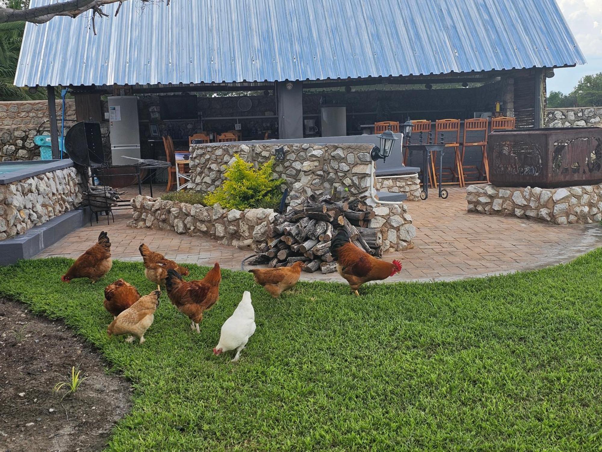 Tamboti Farm Accommodation Tsumeb Kültér fotó
