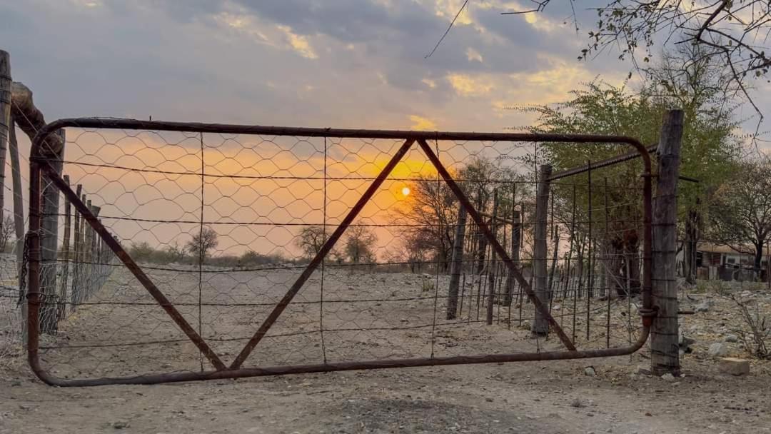 Tamboti Farm Accommodation Tsumeb Kültér fotó